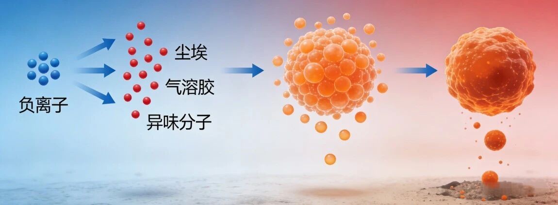 图片4.jpg 图片4.jpg