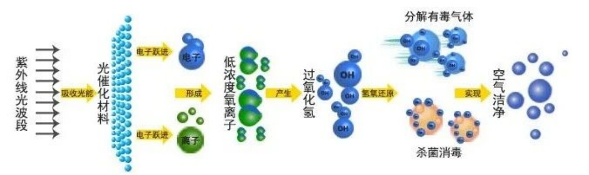 图片3.jpg 图片3.jpg